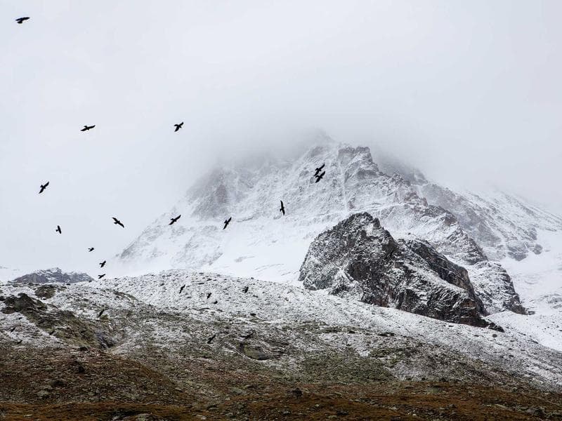 Modern website design on a laptop